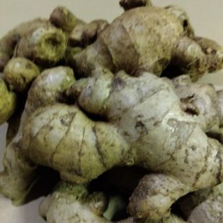 親生姜　2K　泥つき　熊本産　減農薬栽培　長持ち生姜(野菜)