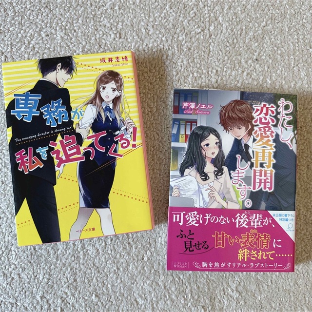 【恋愛小説おまとめ】恋愛小説6冊おまとめ 小説 恋愛 本まとめ売り エンタメ/ホビーの本(文学/小説)の商品写真