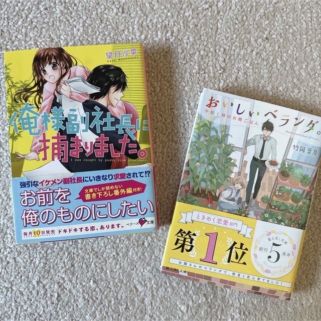 【恋愛小説おまとめ】恋愛小説6冊おまとめ 小説 恋愛 本まとめ売り エンタメ/ホビーの本(文学/小説)の商品写真