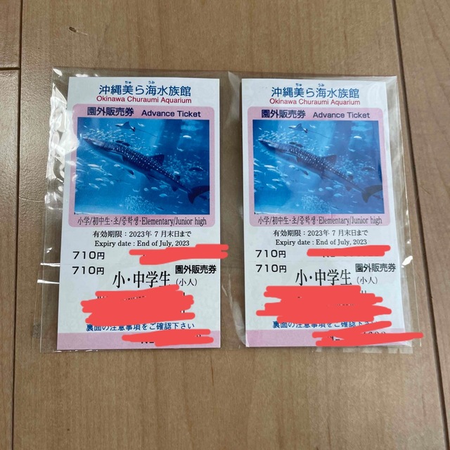 沖縄美ら海水族館チケット 小中学生用2枚