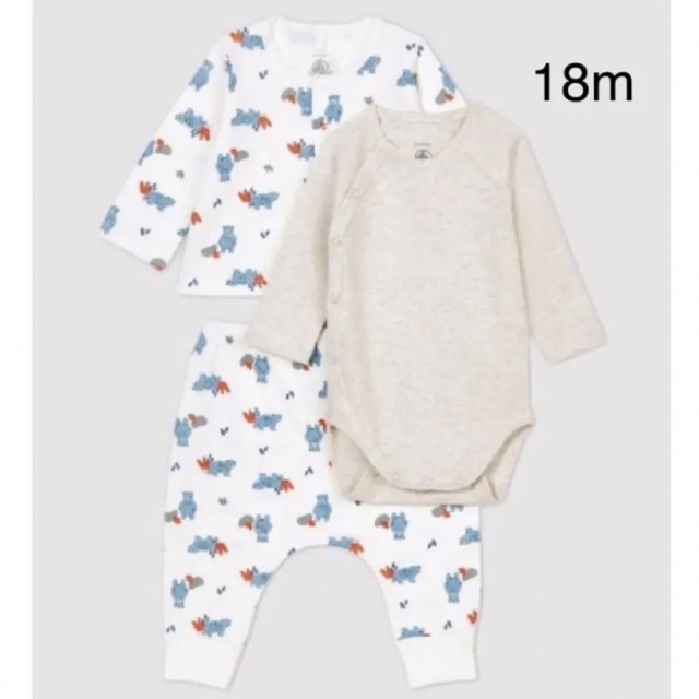 PETIT BATEAU(プチバトー)のプチバトー　チュビックプリント3点セット　18m キッズ/ベビー/マタニティのベビー服(~85cm)(ロンパース)の商品写真