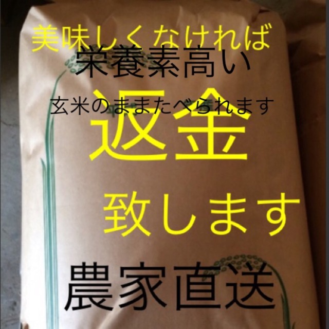 ゆか様専用　無農薬純こしひかり20㎏ 玄米 食品/飲料/酒の食品(米/穀物)の商品写真