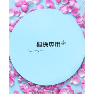 楓様専用オーダーネイルチップ(ネイルチップ)