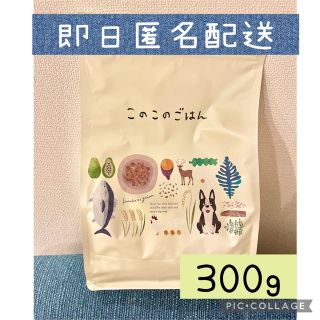 このこのごはん　ドッグフード　ペットフード　お試し　300g(ペットフード)