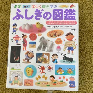 ふしぎの図鑑 楽しく遊ぶ学ぶ(絵本/児童書)