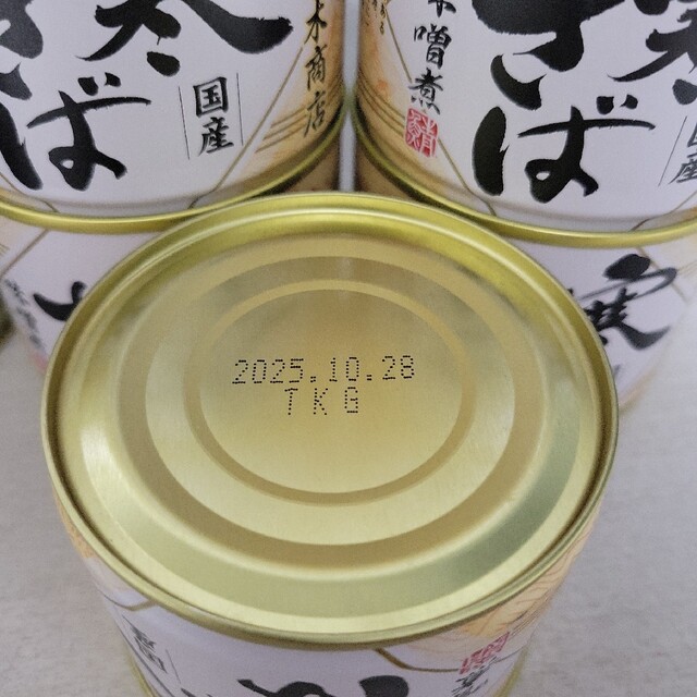 災害備蓄用　日時指定可　40缶　国産　サバ缶