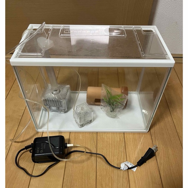 金魚飼育セット（水槽、エアポンプ） その他のペット用品(アクアリウム)の商品写真