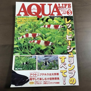 【貴重】アクアライフ 雑誌 月刊AQUALIFE 2005年3月 No308(趣味/スポーツ)