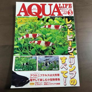 【貴重】アクアライフ 雑誌 月刊AQUALIFE 2005年3月 No308(趣味/スポーツ)