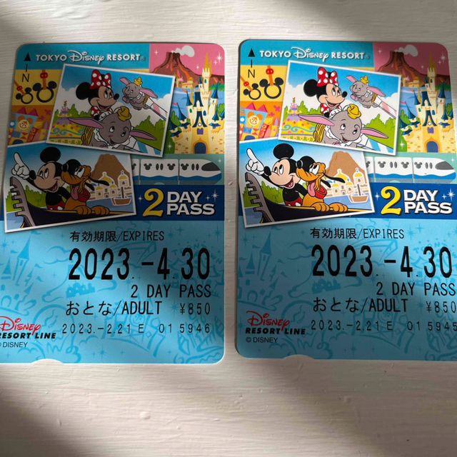 Disney(ディズニー)の【未使用】ディズニーリゾートライン　大人　2day pass 2枚セット チケットの施設利用券(遊園地/テーマパーク)の商品写真