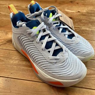 ジョーダン(Jordan Brand（NIKE）)のJORDAN LUKA1 NEXT NATURE PF(バスケットボール)