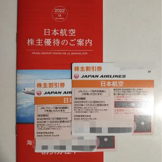 ジャル(ニホンコウクウ)(JAL(日本航空))のJAL株主優待券 2枚 [2023年11月30日まで](その他)