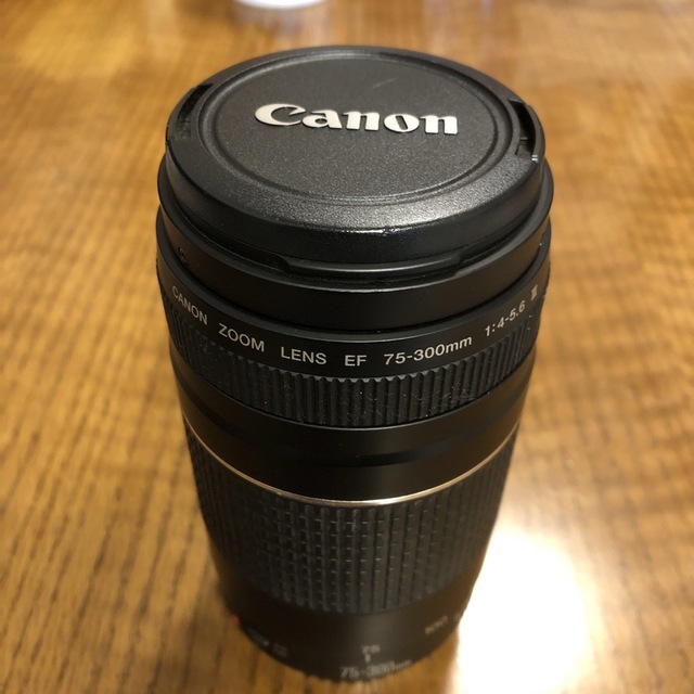 本日お値下げCanonズームレンズ EF 75-300mm 1:4-5.6-