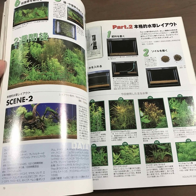 【貴重】アクアライフ 雑誌 月刊AQUALIFE 2000年4月 No249 エンタメ/ホビーの雑誌(趣味/スポーツ)の商品写真