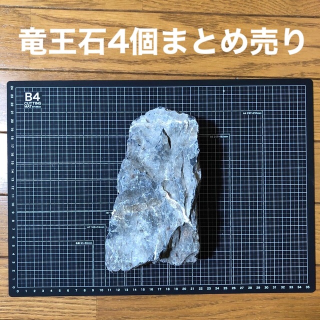 ADA 竜王石　4個まとめ売り その他のペット用品(アクアリウム)の商品写真