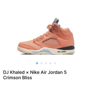 ジョーダン(Jordan Brand（NIKE）)のNIKE JORDAN 5 DJ KHALED ジョーダン 5 キャレド (スニーカー)