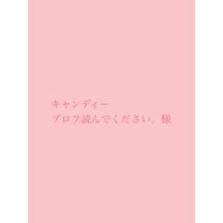 キャンディー プロフ読んでください。様 専用です。(その他)