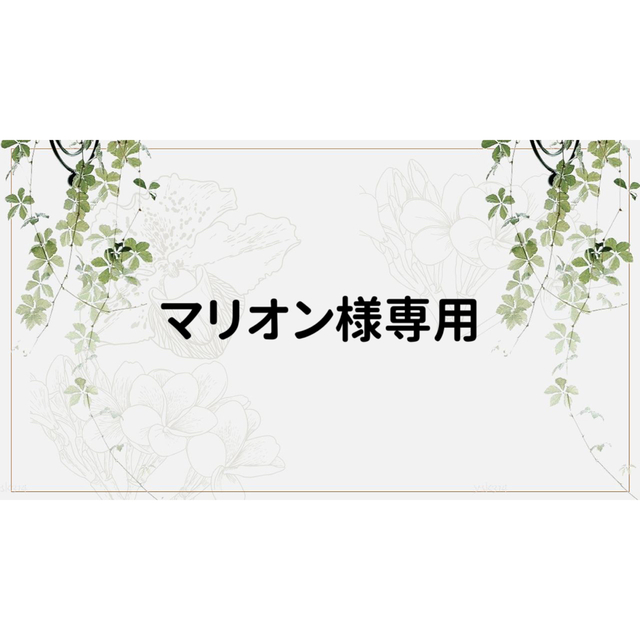 特価超特価】 マリオン様専用 cleantouchcleaners.com