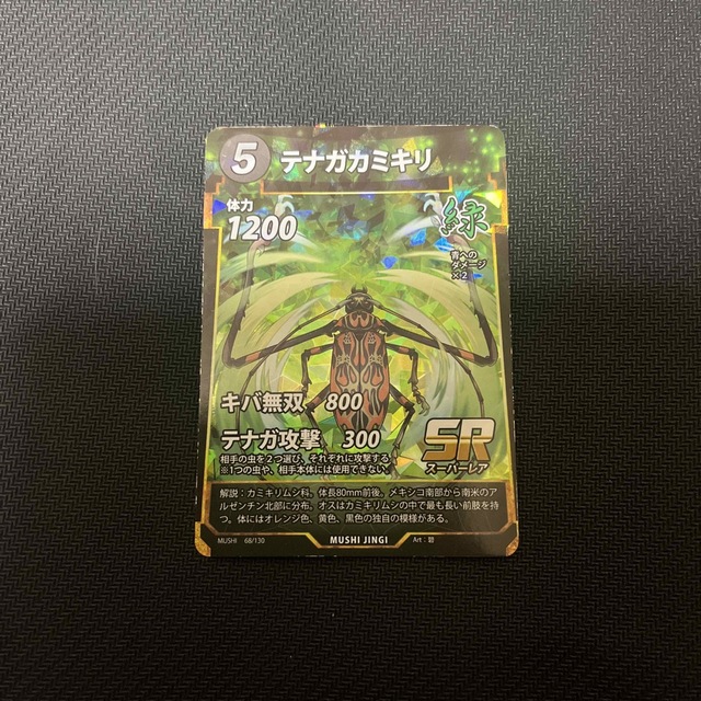 蟲神器 テナガカミキリ エンタメ/ホビーのトレーディングカード(シングルカード)の商品写真