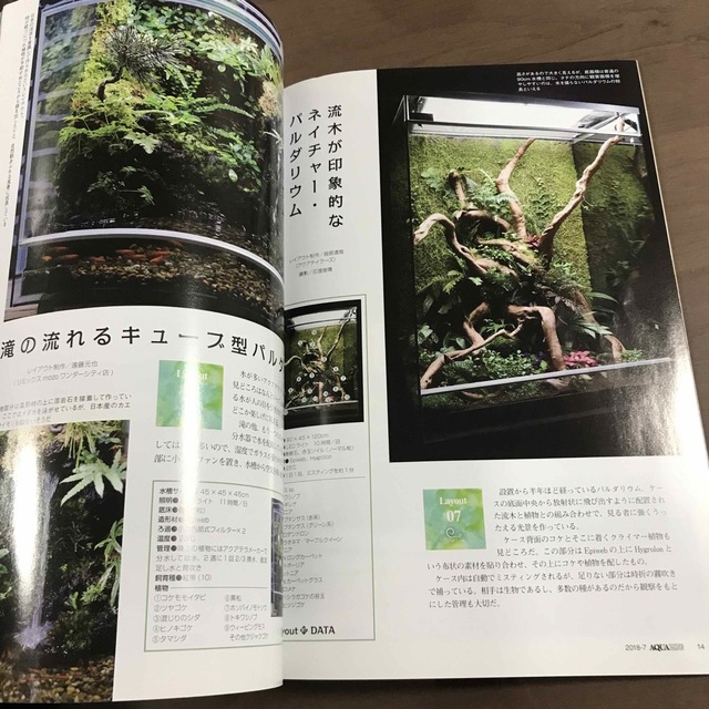 【貴重】アクアライフ 雑誌 月刊AQUALIFE 2018年7月 No468 エンタメ/ホビーの雑誌(趣味/スポーツ)の商品写真