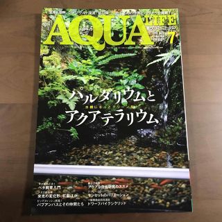 【貴重】アクアライフ 雑誌 月刊AQUALIFE 2018年7月 No468(趣味/スポーツ)