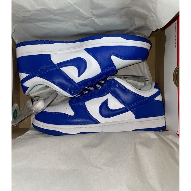 26cm DUNK Low PRO SB ダンク Varsity Royal