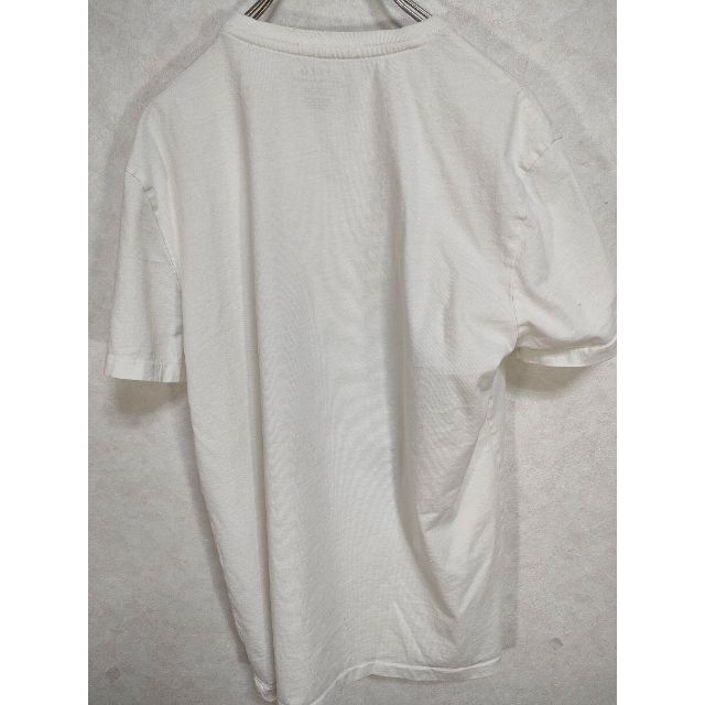 POLO RALPH LAUREN(ポロラルフローレン)のポロラルフローレン　ポロベア　Tシャツ ニット　ポニーマーク レディースのトップス(Tシャツ(半袖/袖なし))の商品写真
