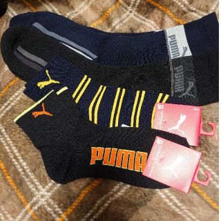 プーマ(PUMA)のPUMA　ソックス　長2 短2  23-25(ソックス)