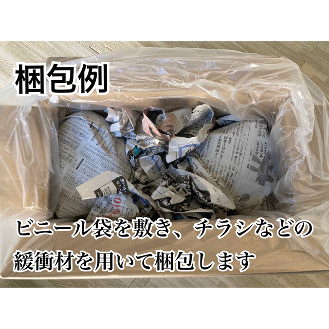 ライブロック 4kg （レイアウト 多孔質 バクテリア 海水魚 サンゴ） 5