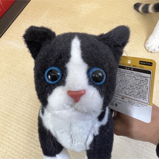 新品 たっちい zoo にゃんこ4 リアル子猫ぬいぐるみ cute子猫 エンタメ/ホビーのおもちゃ/ぬいぐるみ(キャラクターグッズ)の商品写真