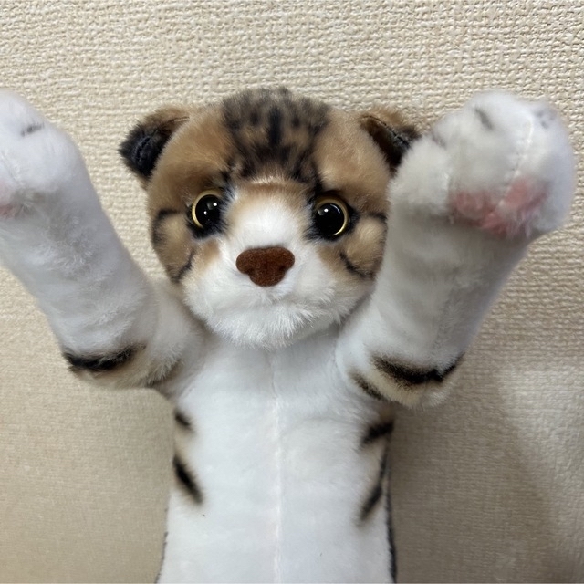 新品 たっちい zoo にゃんこ4 リアル子猫ぬいぐるみ cute子猫 エンタメ/ホビーのおもちゃ/ぬいぐるみ(キャラクターグッズ)の商品写真