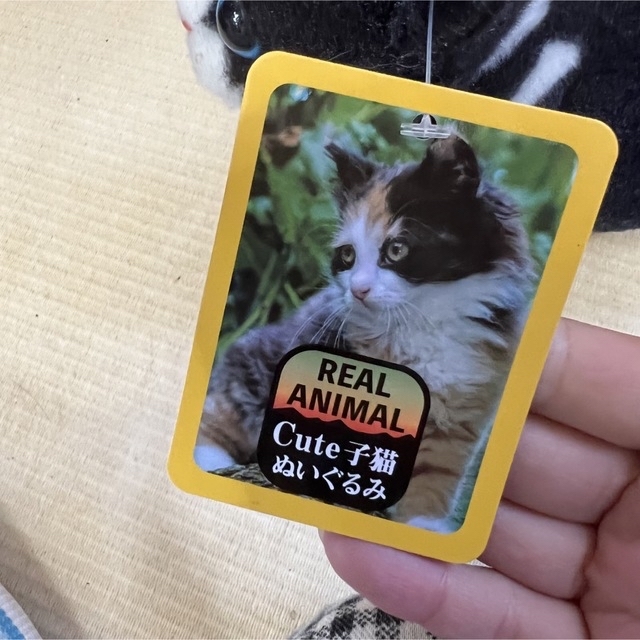 新品 たっちい zoo にゃんこ4 リアル子猫ぬいぐるみ cute子猫 エンタメ/ホビーのおもちゃ/ぬいぐるみ(キャラクターグッズ)の商品写真