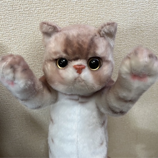 新品 たっちい zoo にゃんこ4 リアル子猫ぬいぐるみ cute子猫 エンタメ/ホビーのおもちゃ/ぬいぐるみ(キャラクターグッズ)の商品写真