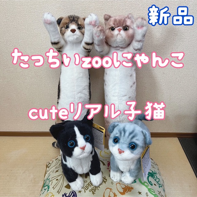 新品 たっちい zoo にゃんこ4 リアル子猫ぬいぐるみ cute子猫 エンタメ/ホビーのおもちゃ/ぬいぐるみ(キャラクターグッズ)の商品写真