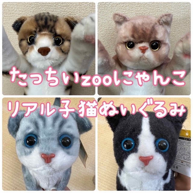 新品 たっちい zoo にゃんこ4 リアル子猫ぬいぐるみ cute子猫 エンタメ/ホビーのおもちゃ/ぬいぐるみ(キャラクターグッズ)の商品写真