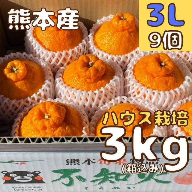 不知火 優良品 3L3kg(デコポン) 食品/飲料/酒の食品(フルーツ)の商品写真