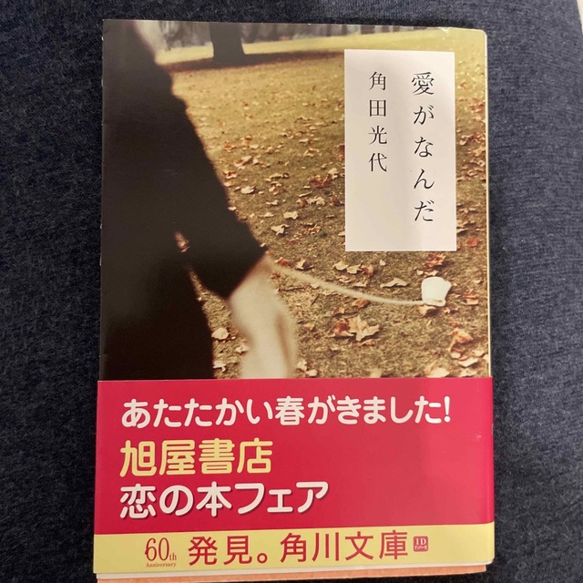 愛がなんだ エンタメ/ホビーの本(文学/小説)の商品写真