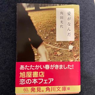 愛がなんだ(文学/小説)