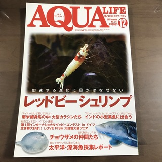 【貴重】アクアライフ 雑誌 月刊AQUALIFE 2005年12月 No317(趣味/スポーツ)