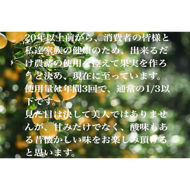 小さめサイズ混合❶　10kg 和歌山県産　蔵出しみかん　訳あり 農家直送   食品/飲料/酒の食品(フルーツ)の商品写真