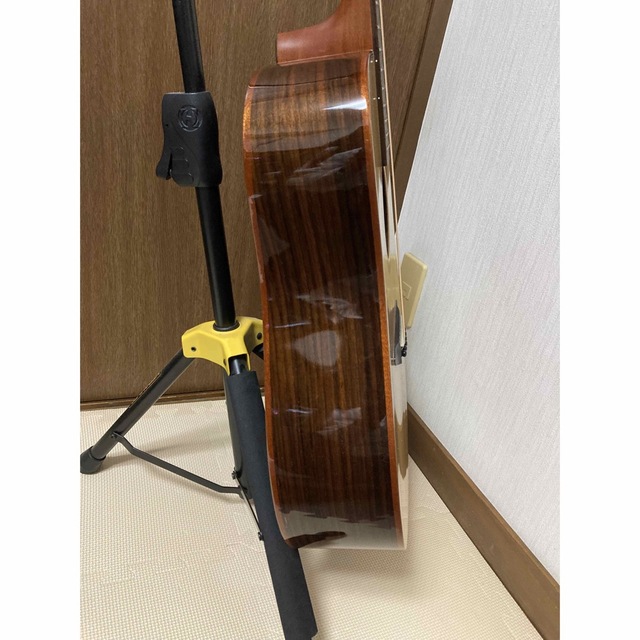 値下げ】 アコースティックギター DCT D-721 SP archeryarea.ch