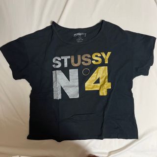 ステューシー(STUSSY)のstussy tシャツ(Tシャツ(半袖/袖なし))