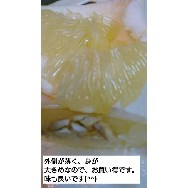 ◎高知県土佐市産 土佐文旦 Lサイズ10kg 激安 訳あり文旦 送料込み 食品/飲料/酒の食品(フルーツ)の商品写真