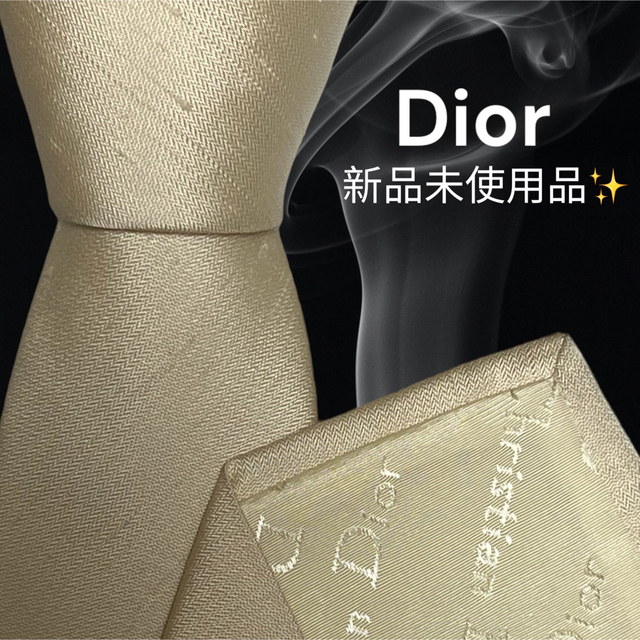 Christian Dior - 【激レア高級ネクタイ✨新品✨】Christian Dior ダメージ加工