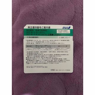 エーエヌエー(ゼンニッポンクウユ)(ANA(全日本空輸))の【未使用】全日空（ANA）株主優待券　2枚(その他)