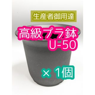 U50 1個 高級 プラ鉢 5号 U-50 多肉植物 アガベ ユーフォルビア(プランター)