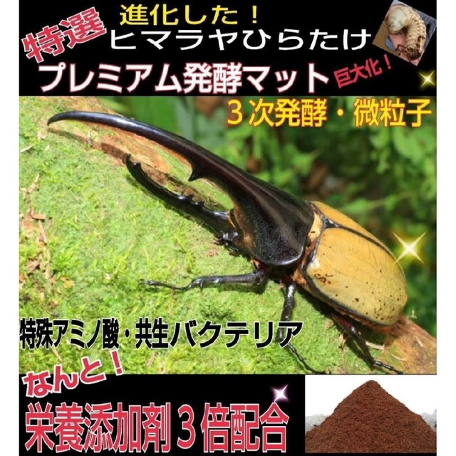 極上☆ギネス狙いに！プレミアム3次発酵カブトムシマット【4袋】特殊