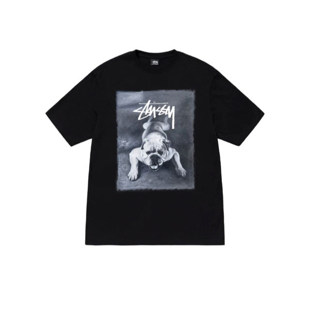 STUSSY - BULLDOG TEE