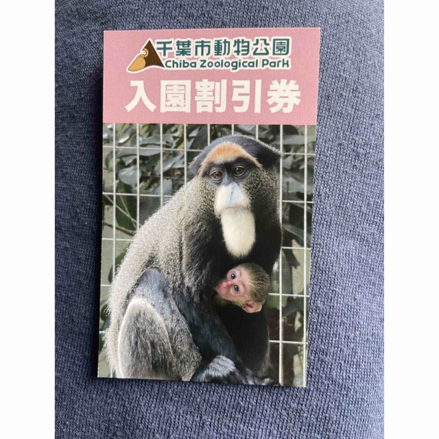 千葉市動物公園 入園割引券 チケットの施設利用券(動物園)の商品写真