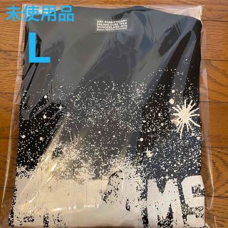 メゾンミハラヤスヒロ(Maison MIHARA YASUHIRO)のドリカム×ミハラヤスヒロ　Lサイズ(Tシャツ/カットソー(半袖/袖なし))